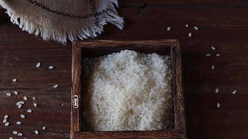 加入适量|黄豆营养好，这么做成早餐，人人爱喝，还能提升免疫力补充蛋白质