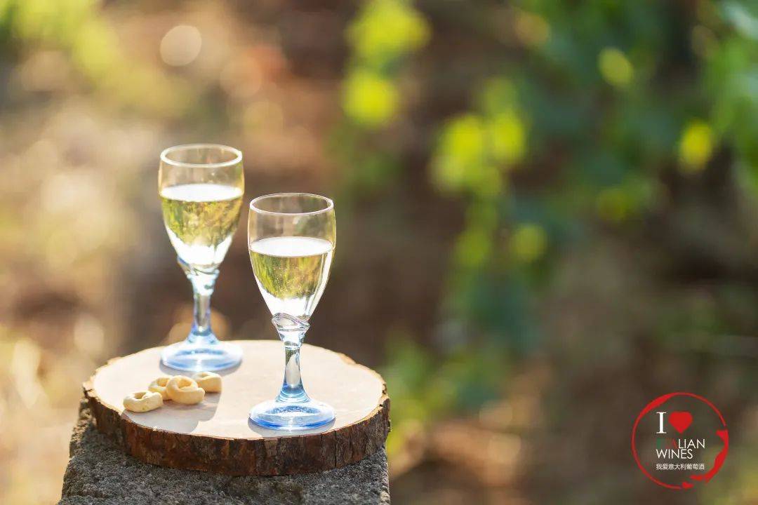 葡萄|菲亚诺 Fiano | 意大利南部的“高贵”白品种