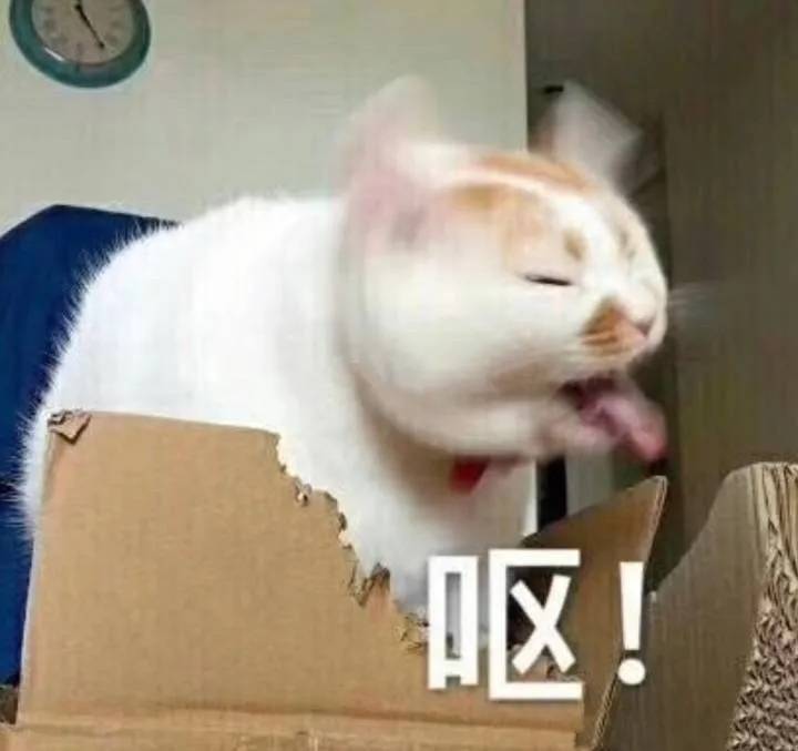 江南布衣 恋童、虐童、搞黄色？江南布衣童装设计不当图案引争议
