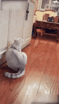 搞笑GIF：不怕學校沙雕多，就怕沙雕們住一窩 搞笑整蠱 第31张