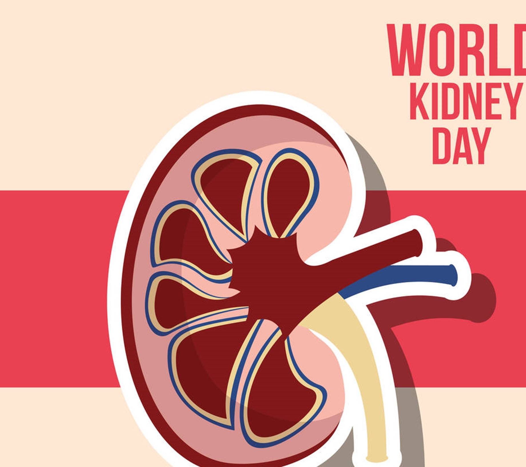 肾脏|服用二甲双胍的糖友们注意了，一旦遇上这5种情况，赶紧停药！