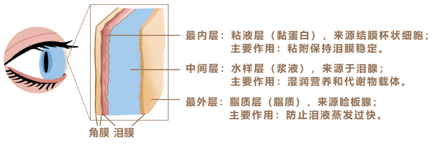 人体国产仿生人工泪液风靡，日本网红眼药水也要让路