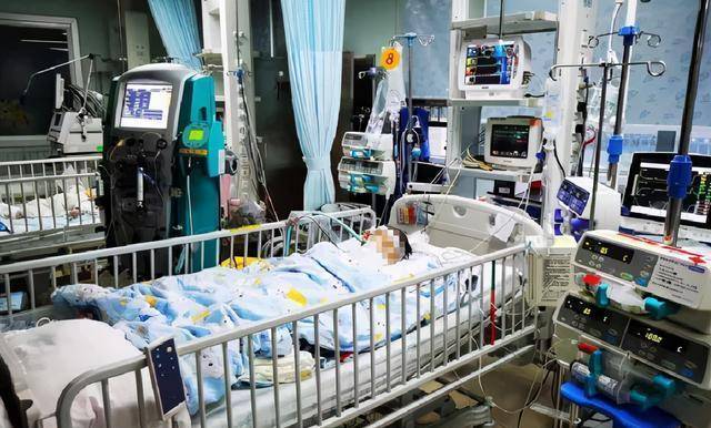 什么是单纯疱疹 7a8e0b27bfb543a090c5ba438434889e.jpeg