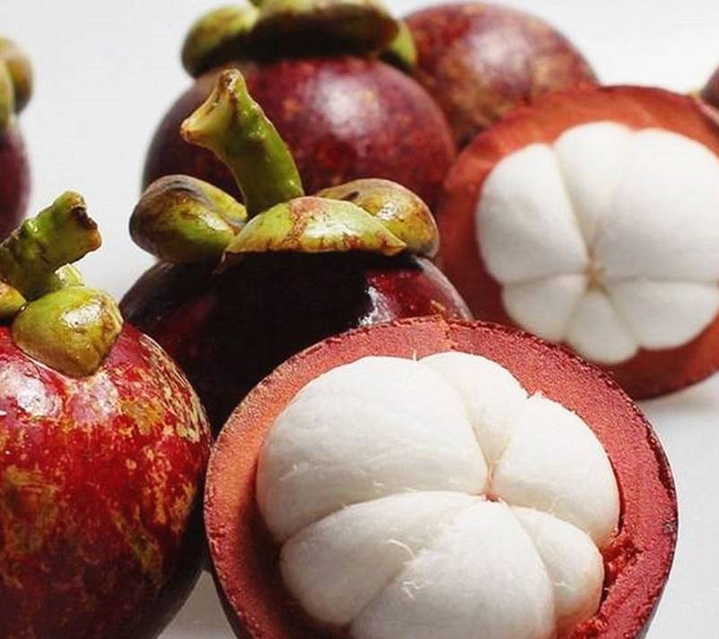 补充|秋季天气凉爽,让孩子多吃四种食物,补充营养,早吃早受益