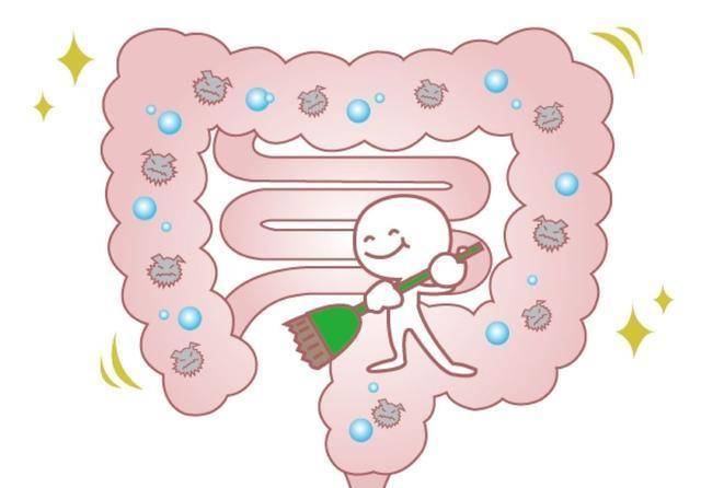 如何拥有健康的肠道 a27117fece254342a82b78e93d7b6425.jpeg