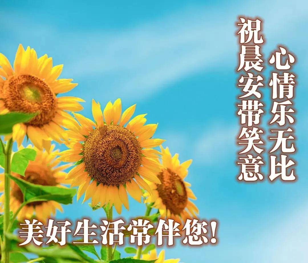 原創7張最美風景早安圖片帶字帶祝福語好看的朋友圈早安問候祝福語