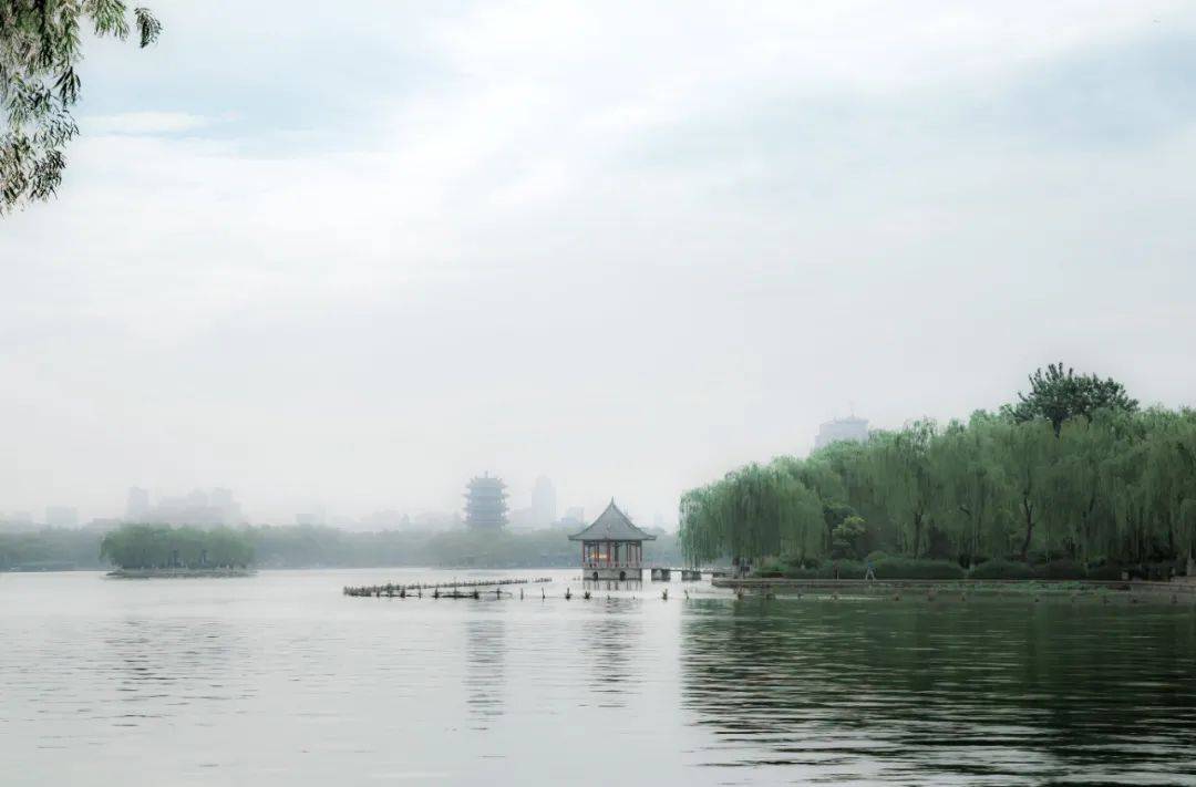 胜景|雨季的济南有多美？这几处雨中撩人胜景恰似“烟雨江南”！