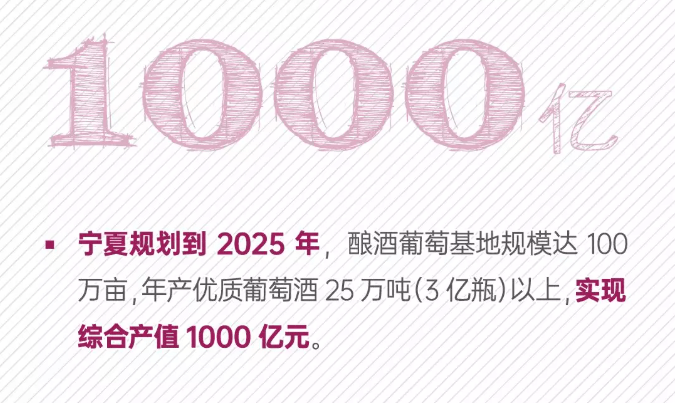 成长|宁夏葡萄酒的数字成长记！
