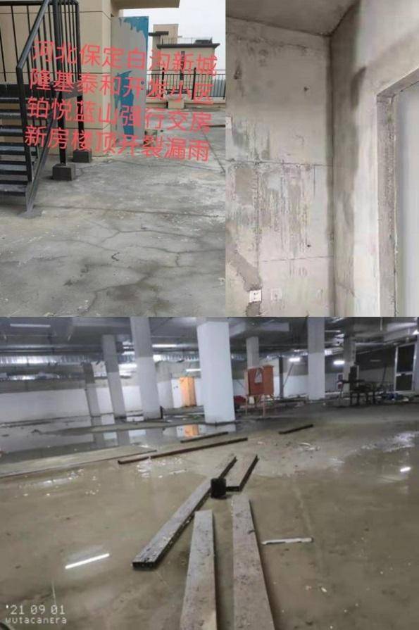 隆基泰和铂悦蓝山：不是质量问题 而是很多质量瑕疵(图3)