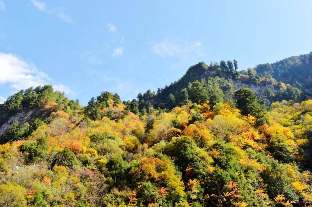 孟屯河谷深秋徒步赏秋色