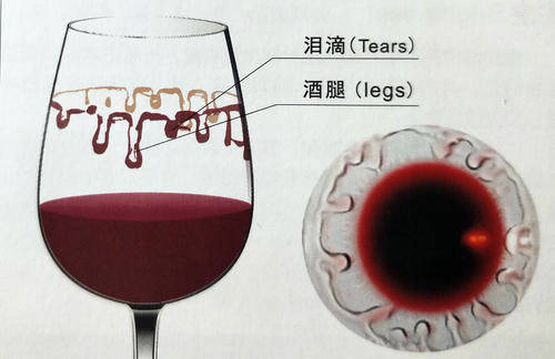 单宁|如何正确认识葡萄酒“挂杯”，避免尴尬