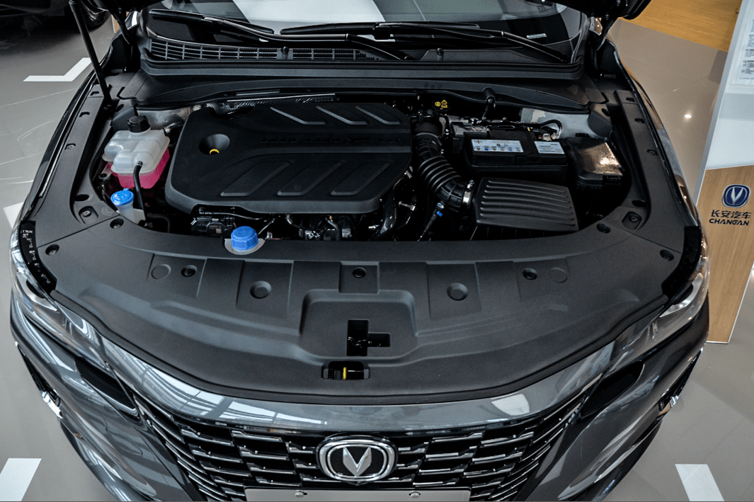 蓝鲸有哪几种 30cc2f544b7443fdb80e91516d13d130.png