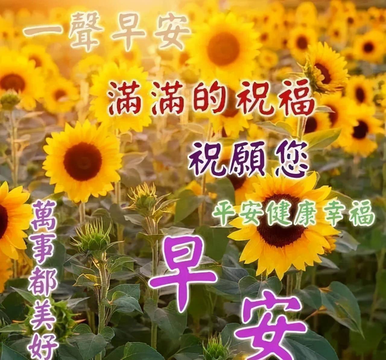 原創10月1日早上好溫馨祝福詞句適合發朋友圈的祝福圖片