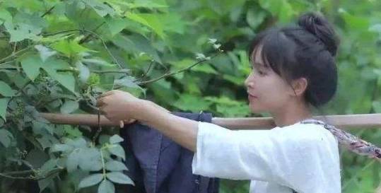 产品 女子模仿李子柒葡萄皮染衣服，看到成品，网友：衣服跟着你白瞎了