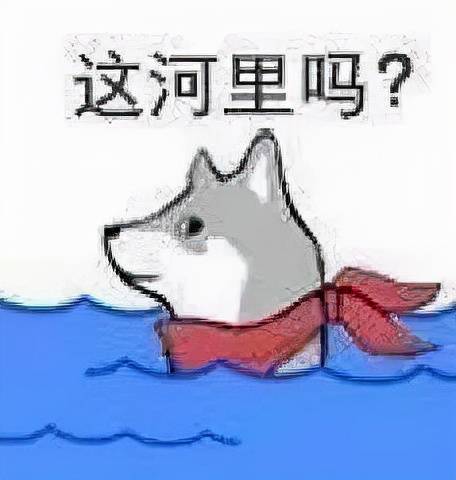 阿崔|又找到一对可以放心嗑的CP