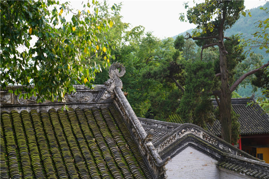 行走|光阴故事里的淮北味道：用一杯棒棒茶，开启一场关于秋天的旅行