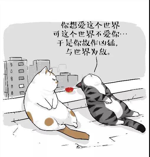 因为|从默默无闻到全网爆红,他治好了3000万人的不开心