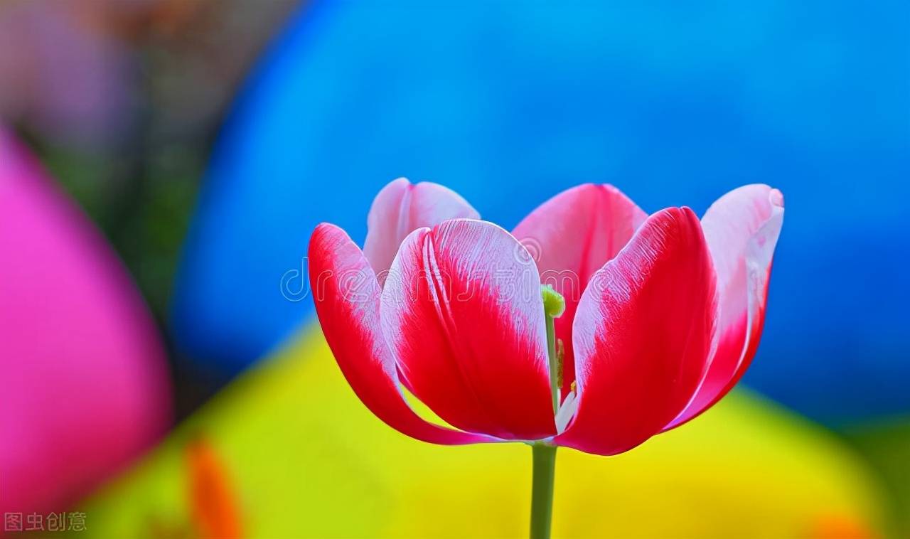 十二星座明日运势指数 10月4日 综合 全网搜