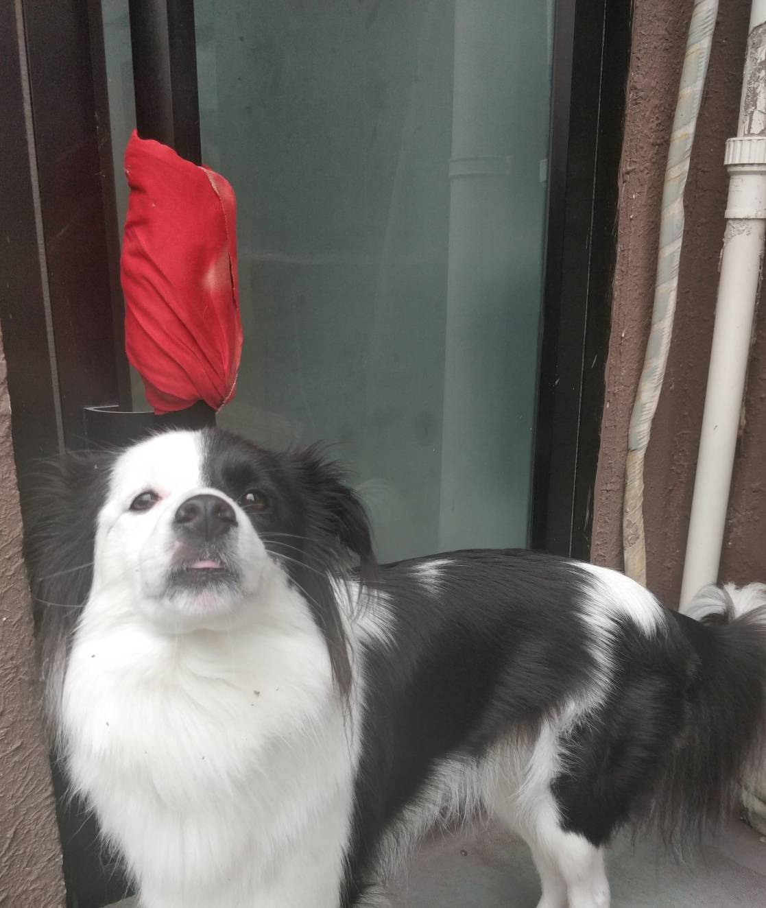07c3d0869f8b492baa329b004add6186.jpeg