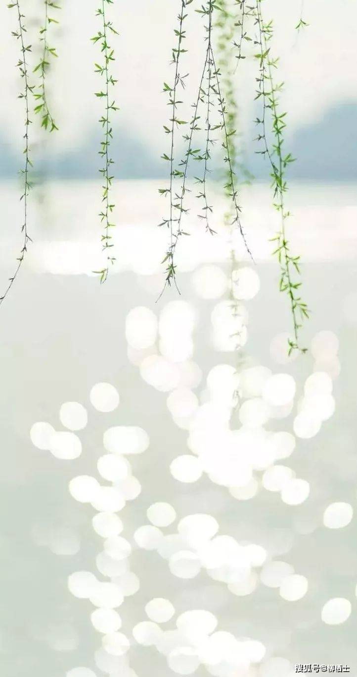 美文悦读林清玄人间有味是清欢