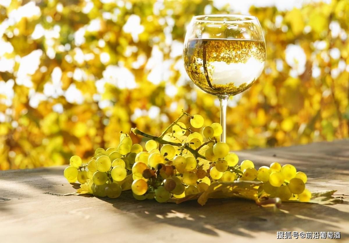 原料|您知道白葡萄酒是怎样酿造出来的吗?白葡萄酒的酿制流程和酿造方法