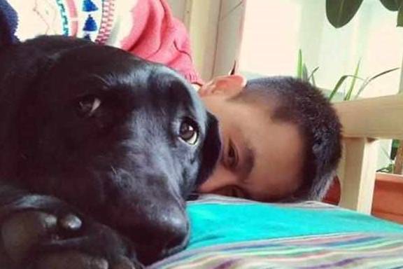 黑色|为什么都说养黑狗好,这5个好处不是人人都能体会到的!