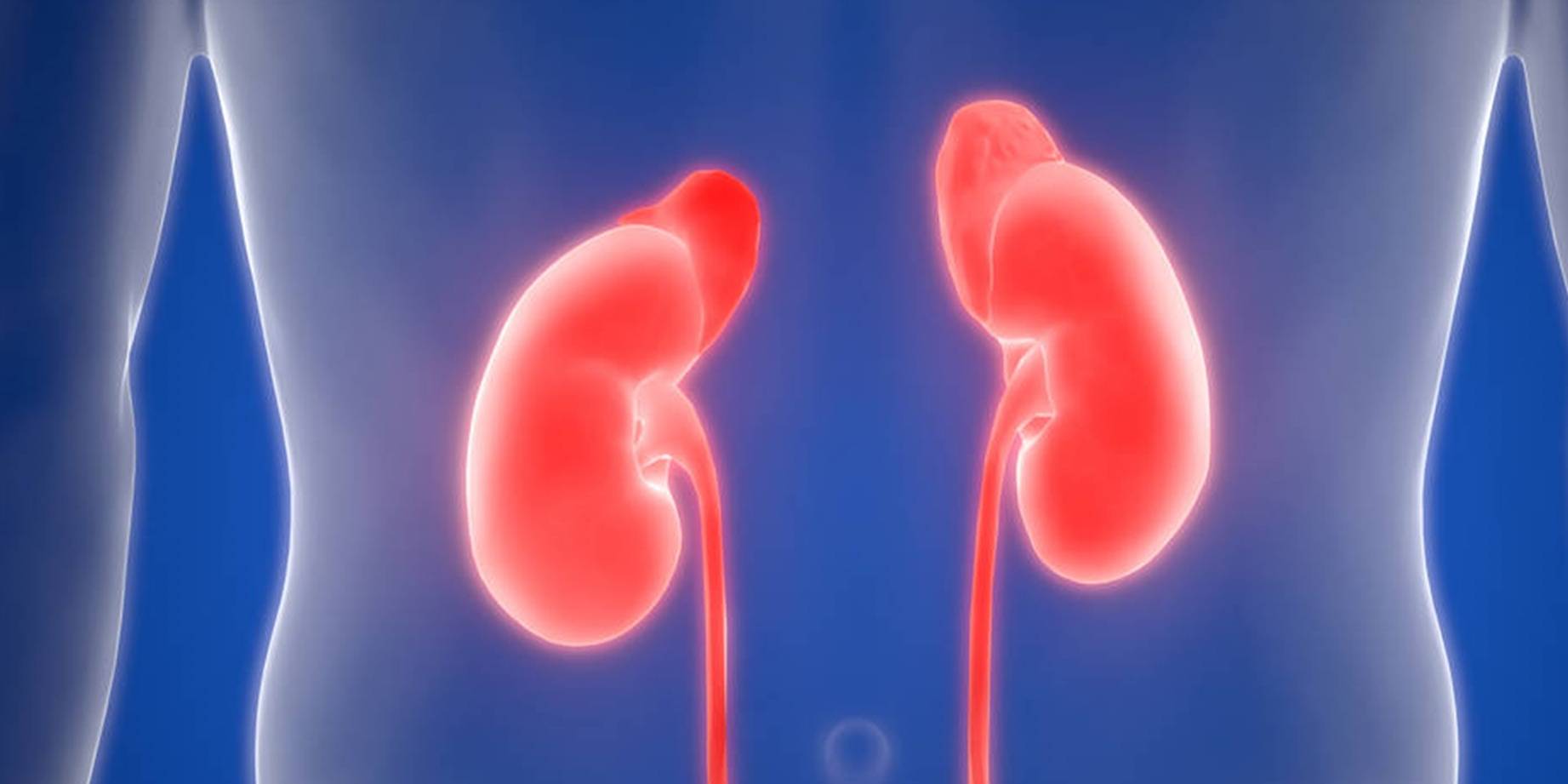 治疗|糖尿病离尿毒症有多远？糖尿病肾病进展分5个阶段，你在哪个阶段