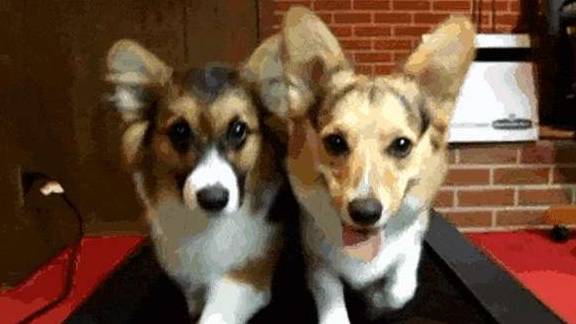 运动量|糖尿病人不可这样,否则之前控制血糖成果毁于一旦