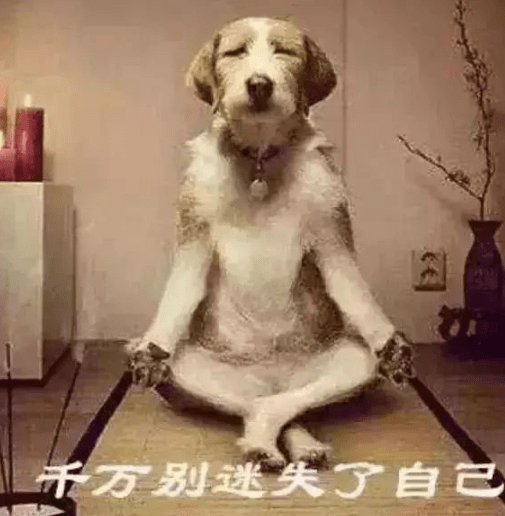 搞笑GIF圖：現在都這麼專業嗎！這不以後上街連手機都不敢帶了 搞笑整蠱 第7张