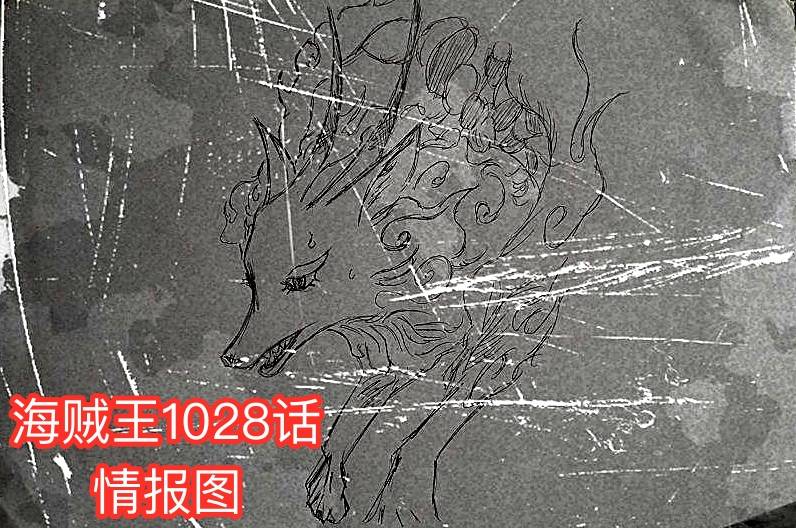 罗宾|海贼王1028话情报：山治VS奎因，路奇来和之国抓罗宾，新角色登场