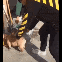 笑話：老公，我閨蜜最近有個毛病，總是愛戴手套？ 搞笑整蠱 第4张