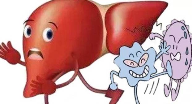 传染给|该怎么跟乙肝患者相处？只要注意这几个方便即可