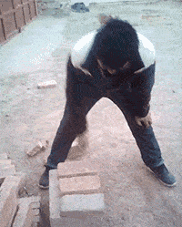 搞笑GIF：哥們，鐵砂掌已練成，以後沒人敢欺負你 搞笑整蠱 第1张