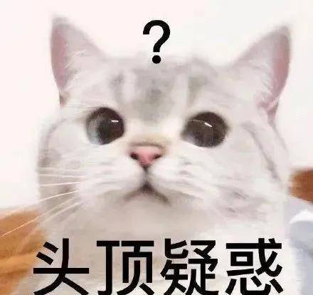 陈赫|《最后的赢家》全员配合赵又廷飙戏?秦霄贤直接大喊“放回去”