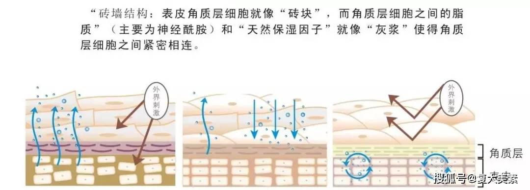 症状你是肌肤敏感or敏感肌？这3点不注意小心要烂脸！