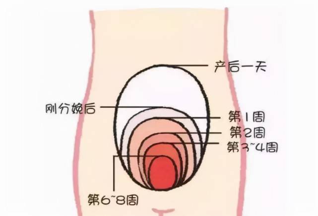 子宫|朱珠分享坐月子“经验”，产后恢复得超级好，评论区：是真的美！