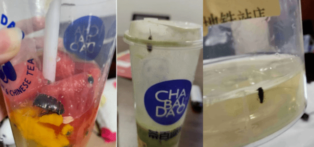 华莱士胖哥俩茶百道接连暴雷 餐饮行业经不起暗访?(图5) 华莱士胖哥俩茶百道接连暴雷 餐饮行业经不起暗访?(图5)