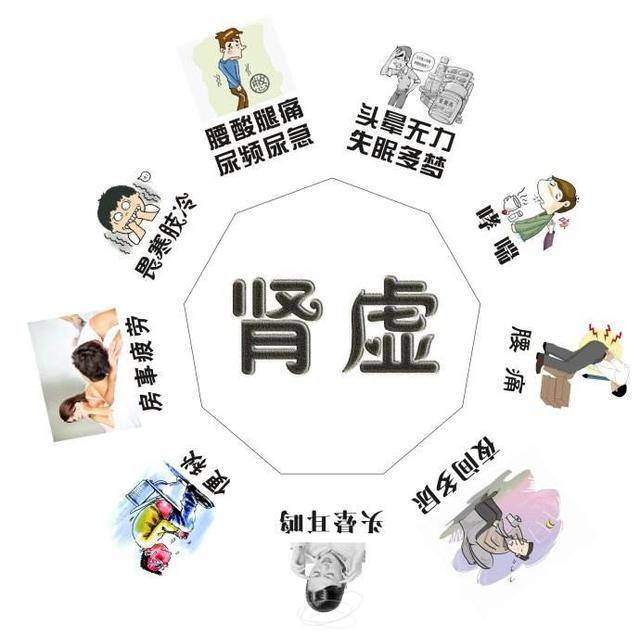 本金|为什么会肾虚?肾虚是怎么导致的?如何从根源治肾虚?