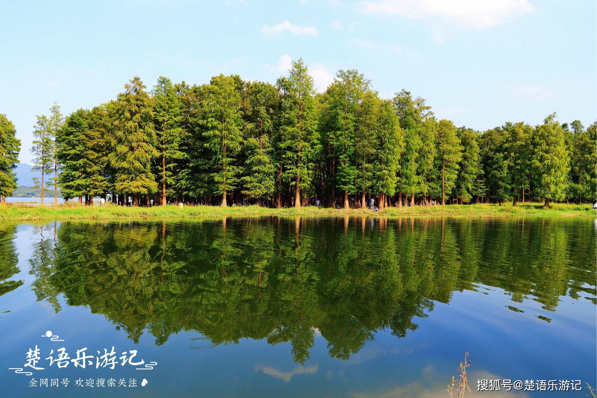 浙江四明山这处景点又火了举起相机就是一幅美图游人多却免费