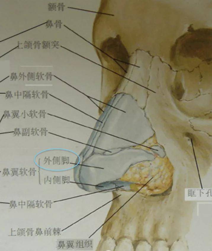 手术|如何do鼻子才能有好的效果？