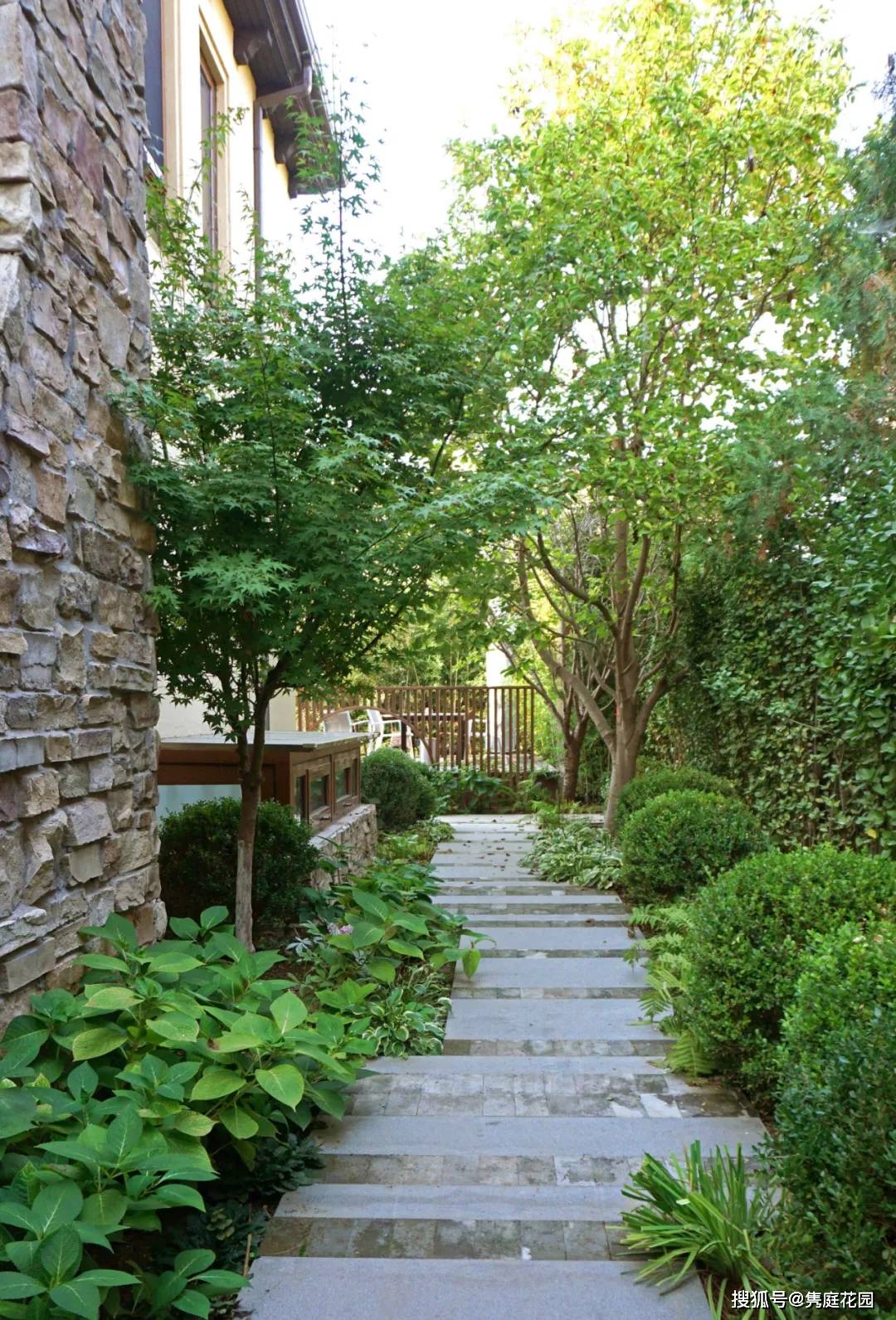 禅意花园里植物的那些事 北方篇 隽庭 全网搜