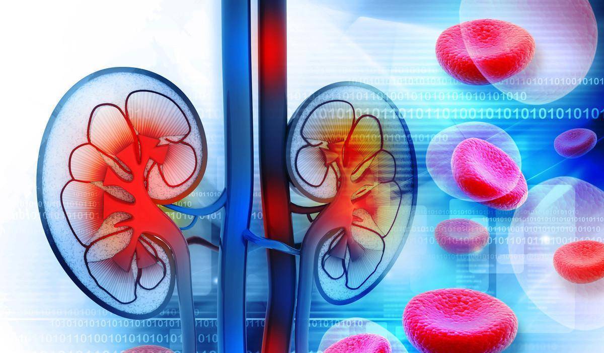 肾脏|高血压如果不治疗，多长时间会伤害到肾脏？有这些症状时要小心