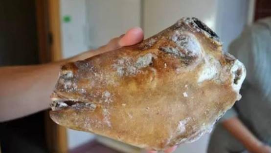 北欧可怕的 黑暗料理 将羊头直接放火上烤 国人 难以理解 挪威