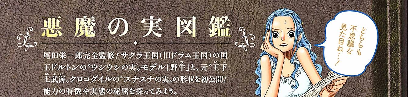 牛头|海贼王官方情报：野牛果实的形状公布！水果如牛头，还长出一对角