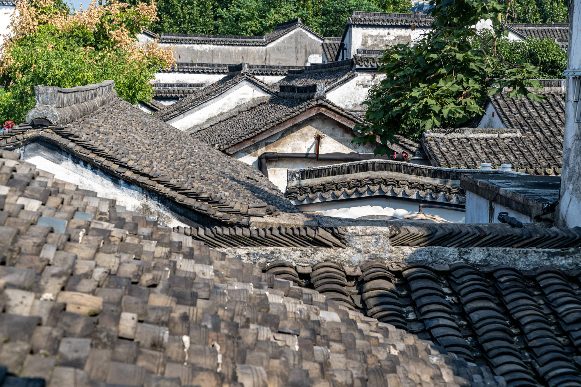 街区|玩转吴兴特色老街，吃百年老店，逛状元故居