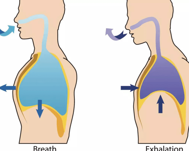 产后康复之呼吸方式:你学会了吗?_时候