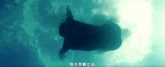 因为|《扑水的少年》扑了，上映12天仅4800万票房，导演“卖惨”也没用