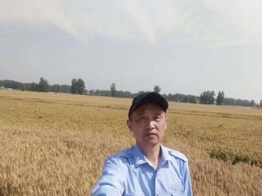 印象白庙(散文)