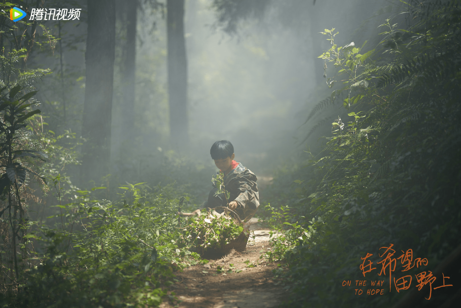 林青青|网剧《在希望田野上》4大优点：内容情节真实，选景美，共情性强，制作在线