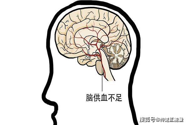 a29c1b2489654f3dbbe15e3f6b7001fa.jpeg